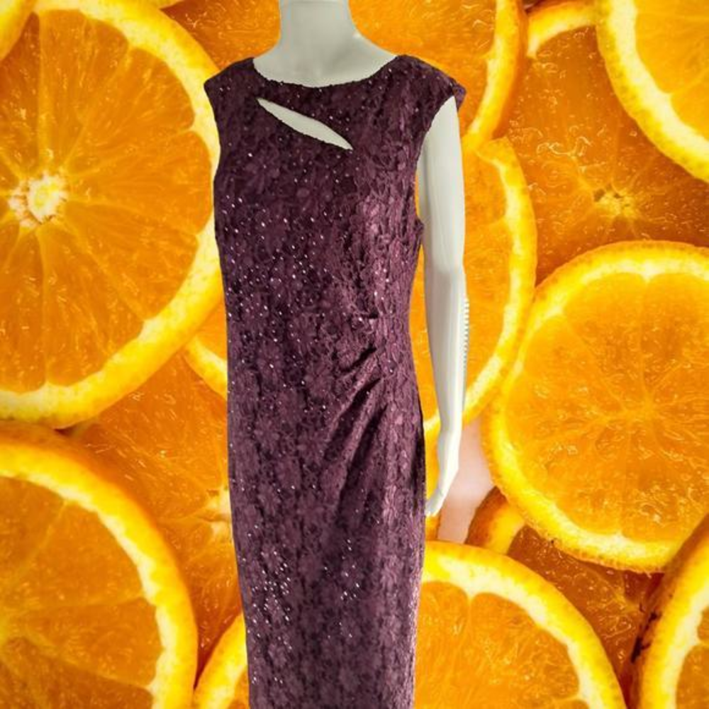 Connected Apparel Maroon Embroidered Flower‎ and Sequin Dress Size 12